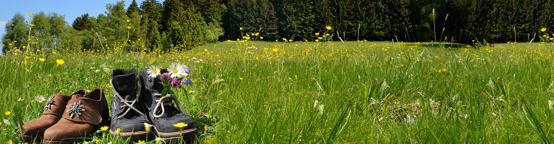 Impressionen